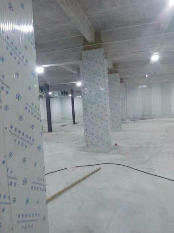 冷库案例
