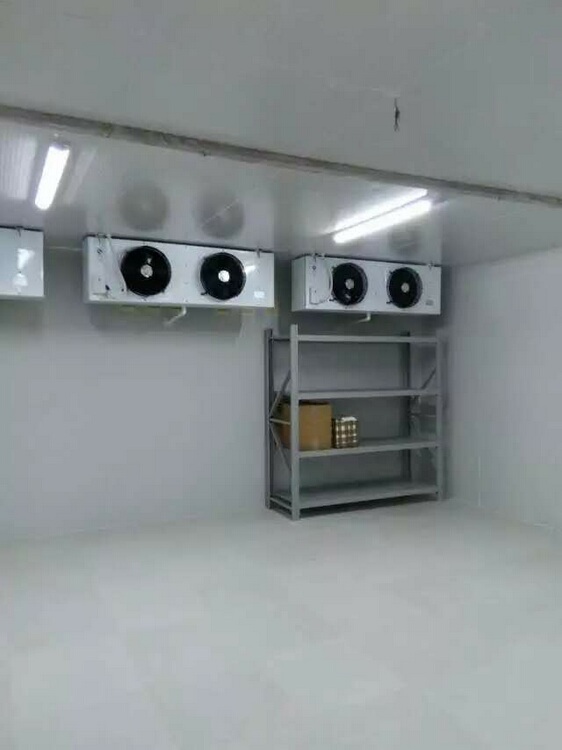 冷库案例