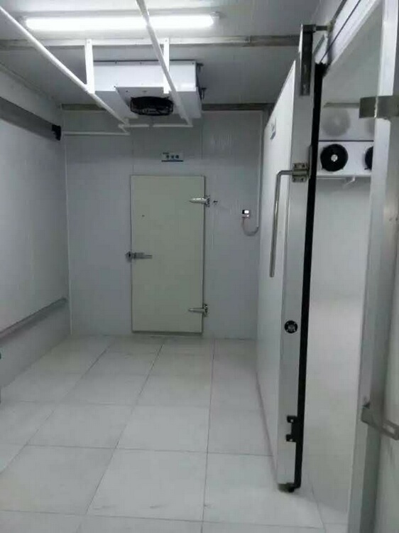 冷库案例